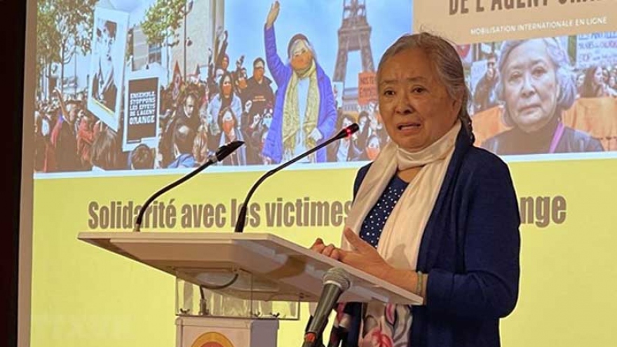 Ambassador hails Collectif Vietnam Dioxine’s support for AO/dioxin victims